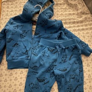 Toddler hoodie + jogger set